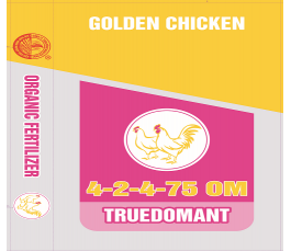 Golden Chicken ( Nhập Khẩu )