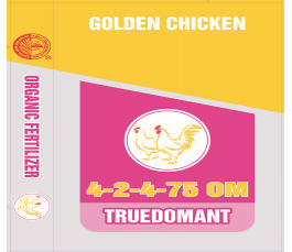Golden Chicken ( Nhập Khẩu )